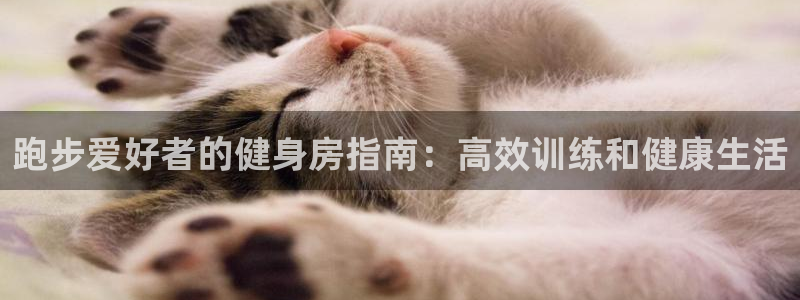 意昂2官方网站