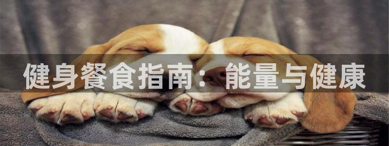意昂2平台