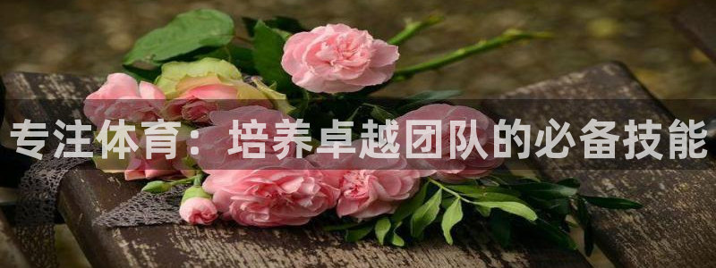 三亿体育：专注体育：培养卓越团队的必备技能