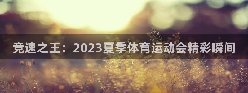 三亿体育网：竞速之王：2023夏季体育运动会精彩瞬间
