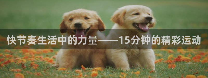 三亿体育登录：快节奏生活中的力量——15分钟的精彩运动
