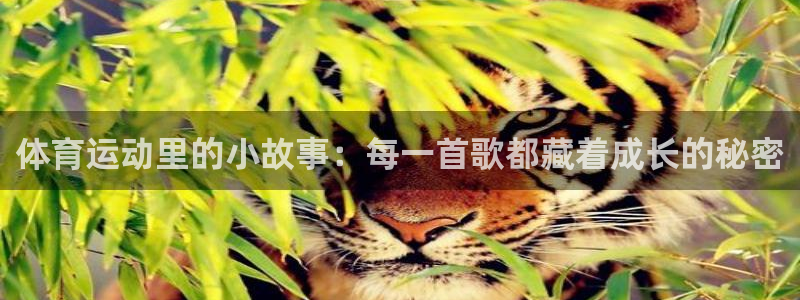 三亿体育网页版：体育运动里的小故事：每一首歌都藏着成长的秘密