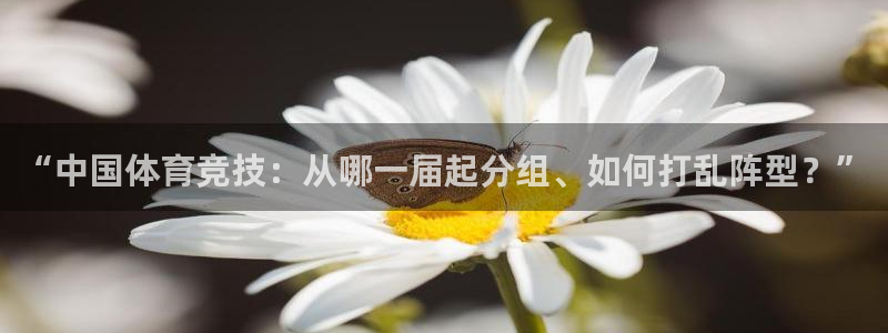 三亿体育网页版：“中国体育竞技：从哪一届起分组、如何打乱阵型？”