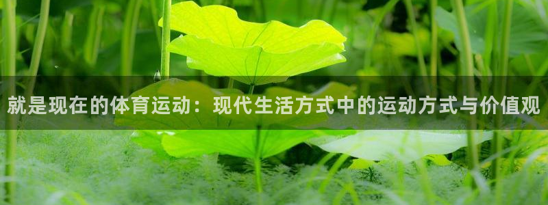 三亿体育网：就是现在的体育运动：现代生活方式中的运动方式与价值观