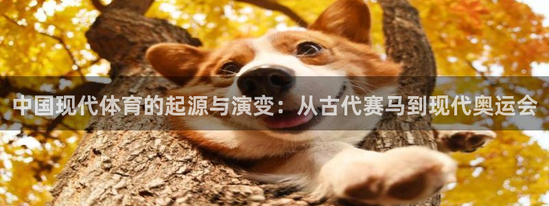 三亿体育网：中国现代体育的起源与演变：从古代赛马到现代奥运会