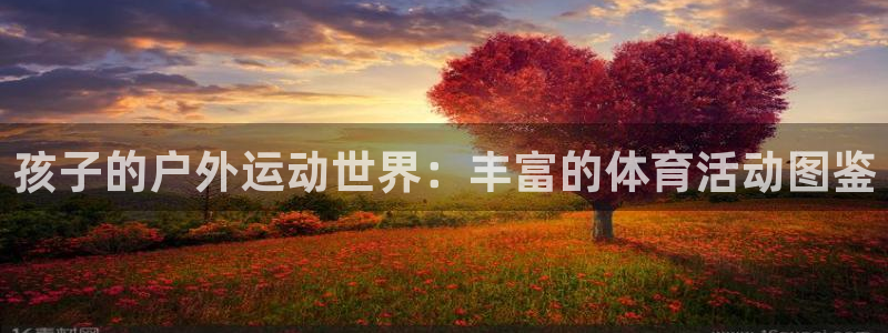 三亿体育登录：孩子的户外运动世界：丰富的体育活动图鉴