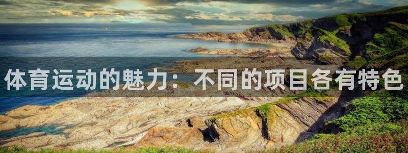 三亿体育登录：体育运动的魅力：不同的项目各有特色