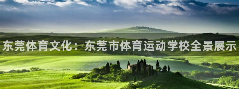 三亿体育：东莞体育文化：东莞市体育运动学校全景展示