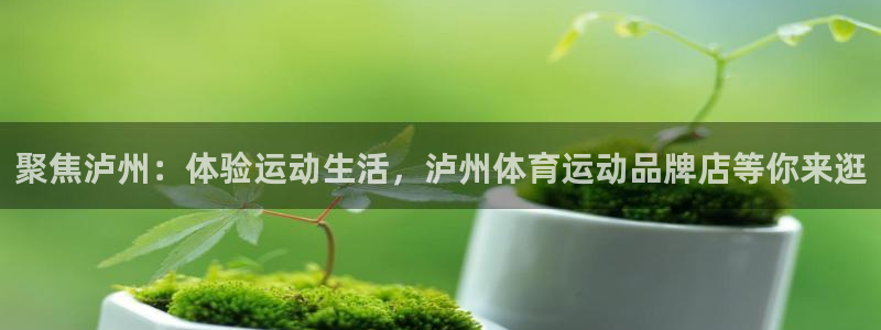 三亿体育网页版：聚焦泸州：体验运动生活，泸州体育运动品牌店等你来逛