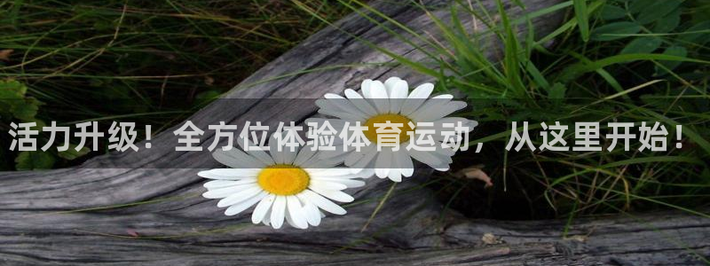 三亿体育登录：活力升级！全方位体验体育运动，从这里开始！