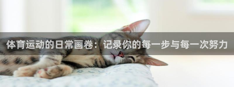 三亿体育网：体育运动的日常画卷：记录你的每一步与每一次努力