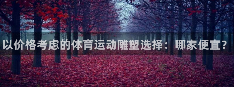 三亿体育网