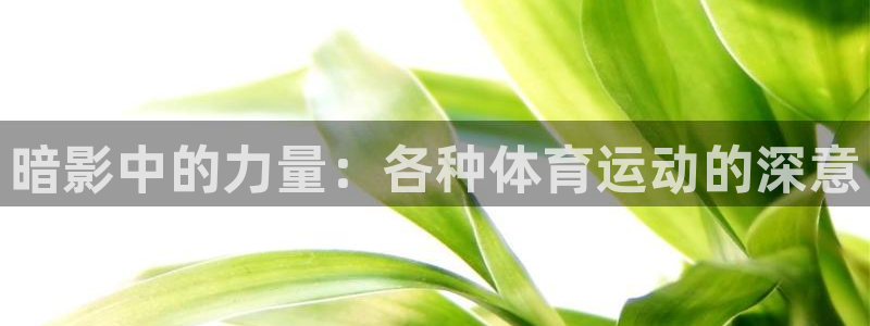 三亿体育：暗影中的力量：各种体育运动的深意