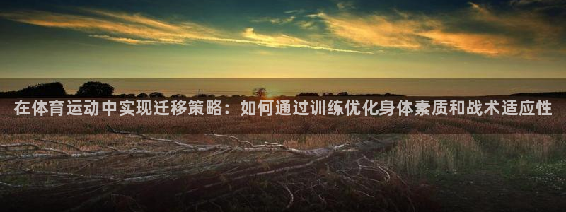三亿体育网页版：在体育运动中实现迁移策略：如何通过训练优化身体素质和战术适应性