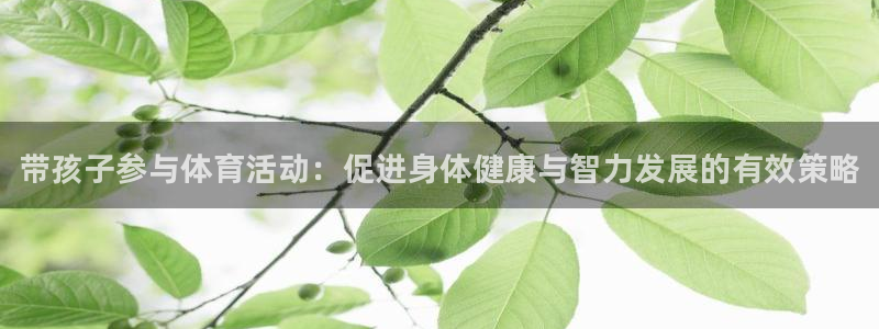 三亿体育网页版：带孩子参与体育活动：促进身体健康与智力发展的有效策略