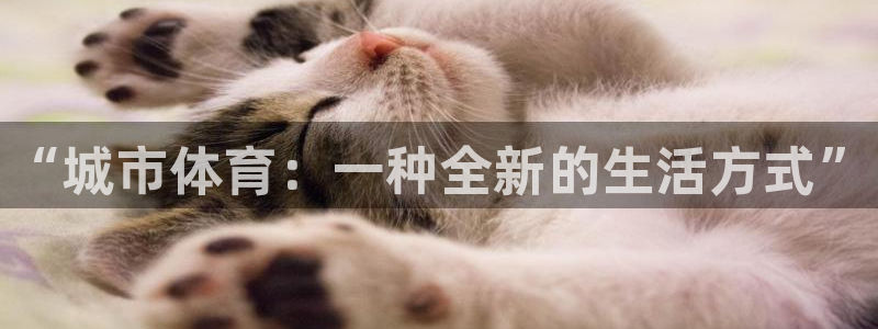 三亿体育登录：“城市体育：一种全新的生活方式”