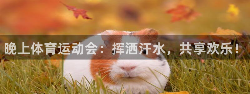 三亿体育登录：晚上体育运动会：挥洒汗水，共享欢乐！