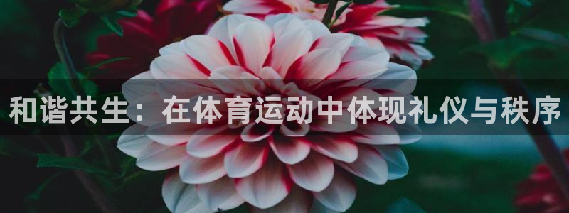 三亿体育：和谐共生：在体育运动中体现礼仪与秩序