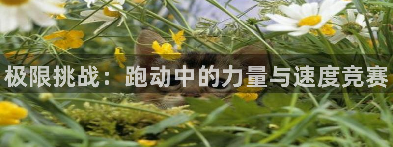三亿体育登录：极限挑战：跑动中的力量与速度竞赛