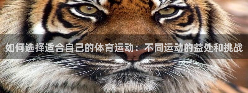 三亿体育登录：如何选择适合自己的体育运动：不同运动的益处和挑战