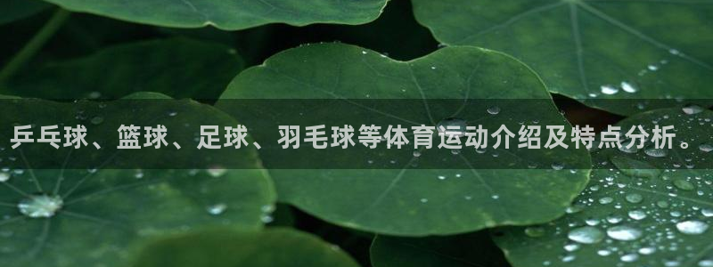 三亿体育：乒乓球、篮球、足球、羽毛球等体育运动介绍及特点分析。