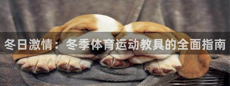 三亿体育网页版：冬日激情：冬季体育运动教具的全面指南