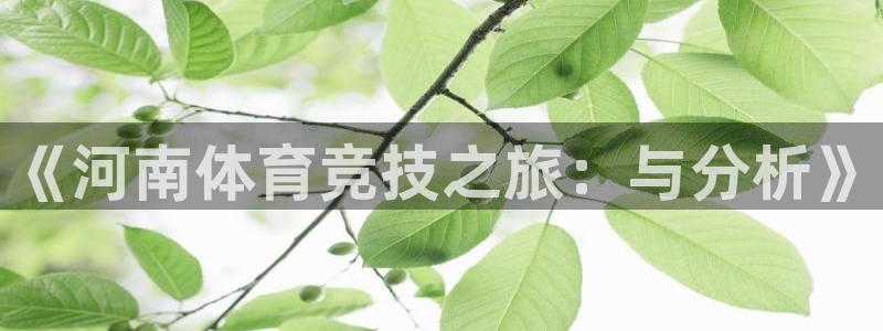 三亿体育网页版：《河南体育竞技之旅：与分析》
