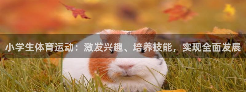 三亿体育网：小学生体育运动：激发兴趣、培养技能，实现全面发展