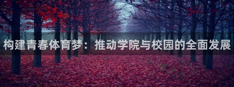 三亿体育：构建青春体育梦：推动学院与校园的全面发展