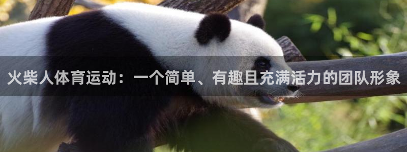 三亿体育：火柴人体育运动：一个简单、有趣且充满活力的团队形象