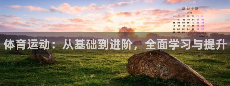 三亿体育登录：体育运动：从基础到进阶，全面学习与提升