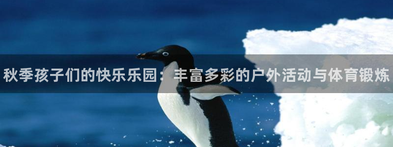 三亿体育网