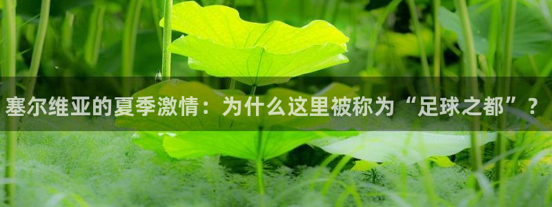 三亿体育网页版