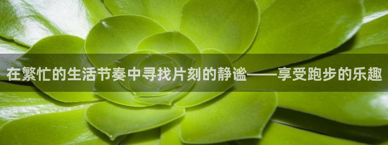 三亿体育登录：在繁忙的生活节奏中寻找片刻的静谧——享受跑步的乐趣