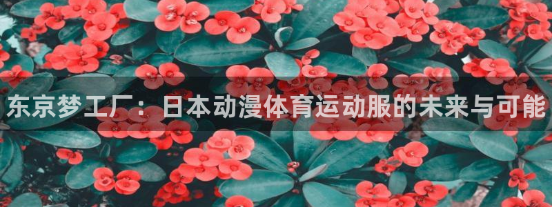 三亿体育：东京梦工厂：日本动漫体育运动服的未来与可能