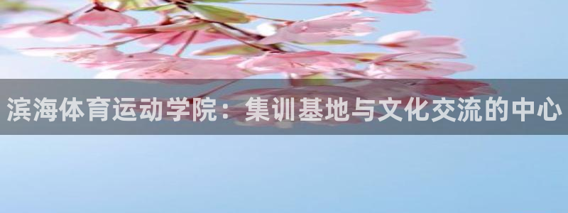 三亿体育网页版：滨海体育运动学院：集训基地与文化交流的中心