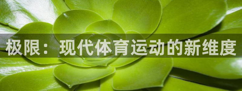 三亿体育网页版：极限：现代体育运动的新维度
