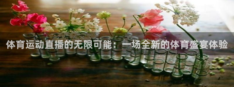 三亿体育登录：体育运动直播的无限可能：一场全新的体育盛宴体验
