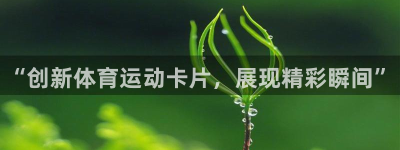 三亿体育登录：“创新体育运动卡片，展现精彩瞬间”