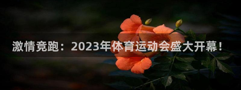 三亿体育登录：激情竞跑：2023年体育运动会盛大开幕！
