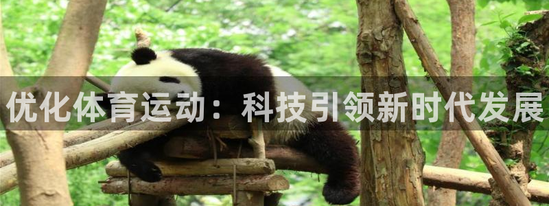 三亿体育网：优化体育运动：科技引领新时代发展