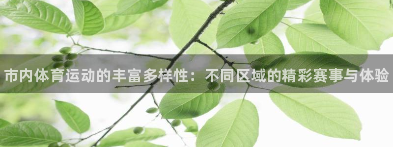 三亿体育登录：市内体育运动的丰富多样性：不同区域的精彩赛事与体验