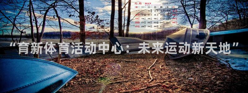 三亿体育：“育新体育活动中心：未来运动新天地”
