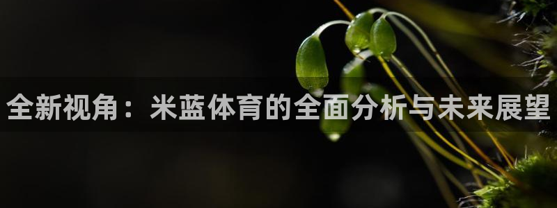 三亿体育登录：全新视角：米蓝体育的全面分析与未来展望