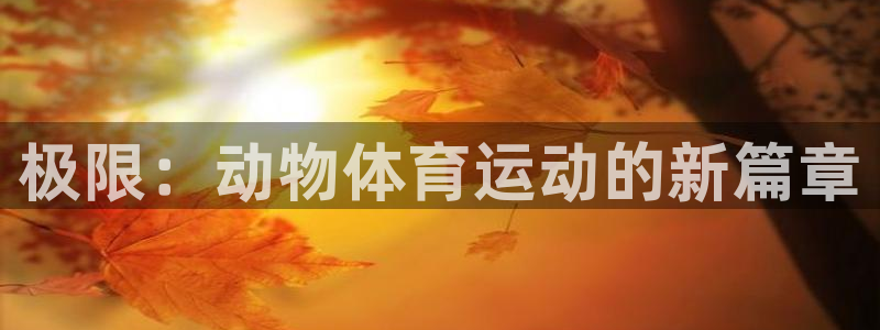 三亿体育网页版：极限：动物体育运动的新篇章