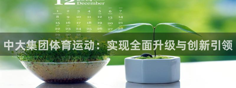 三亿体育网页版：中大集团体育运动：实现全面升级与创新引领