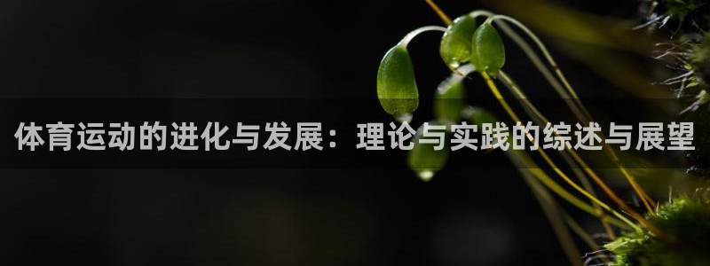 三亿体育网