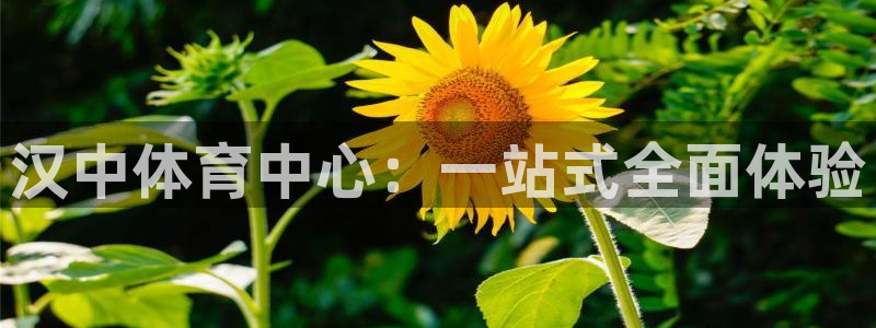 三亿体育登录：汉中体育中心：一站式全面体验