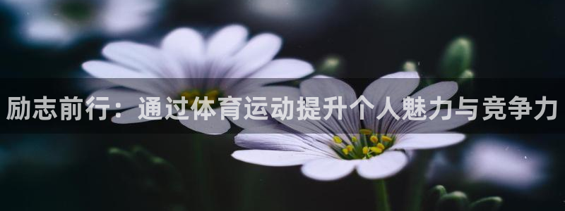 三亿体育网：励志前行：通过体育运动提升个人魅力与竞争力