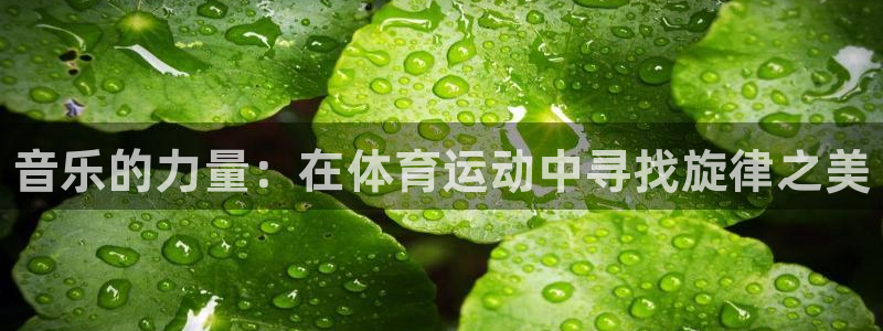 三亿体育网：音乐的力量：在体育运动中寻找旋律之美